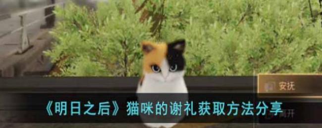 明日之后猫咪的谢礼怎么玩-明日之后猫咪的谢礼获方法分享