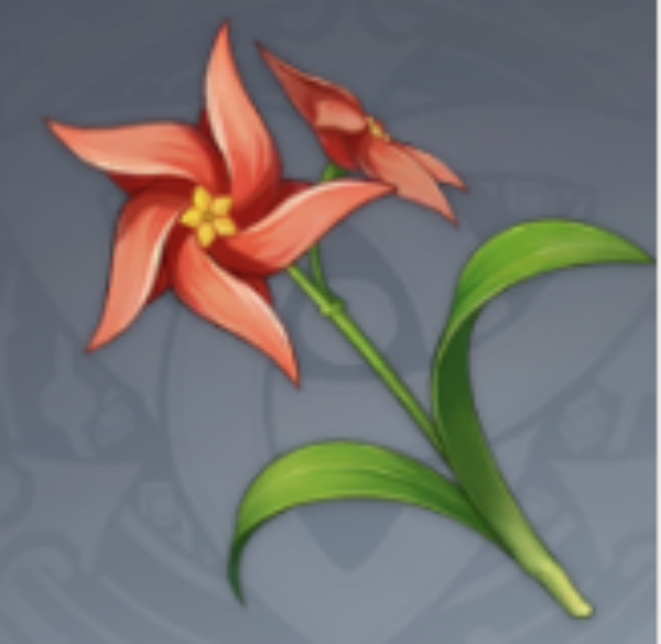 原神小灯草采集位置一览