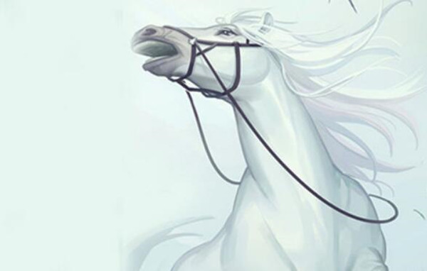 江湖悠悠白龙马兑换码怎么获得