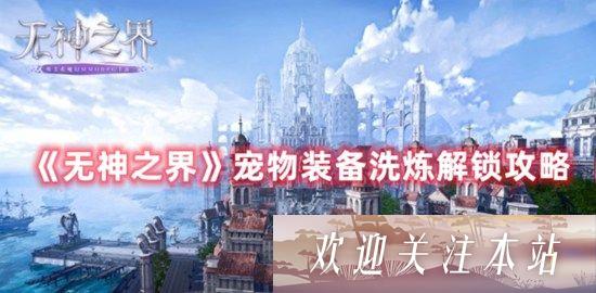 无神之界宠物装备洗炼怎么解锁 无神之界宠物装备洗炼解锁教程