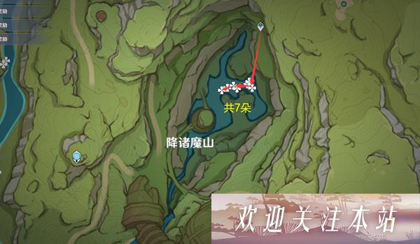 原神月莲采集路线图一览 原神月莲高效采集路线推荐