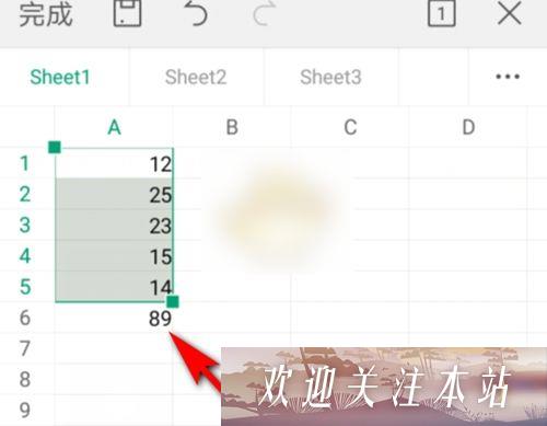 自动计算的结果