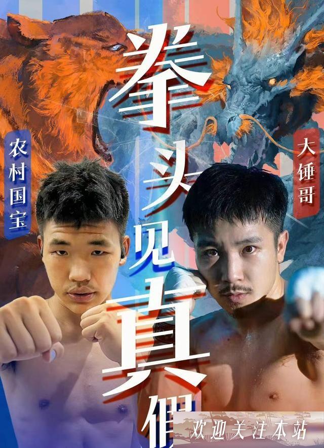 “拳击对决：大锤哥与农村国宝的恩怨情仇”