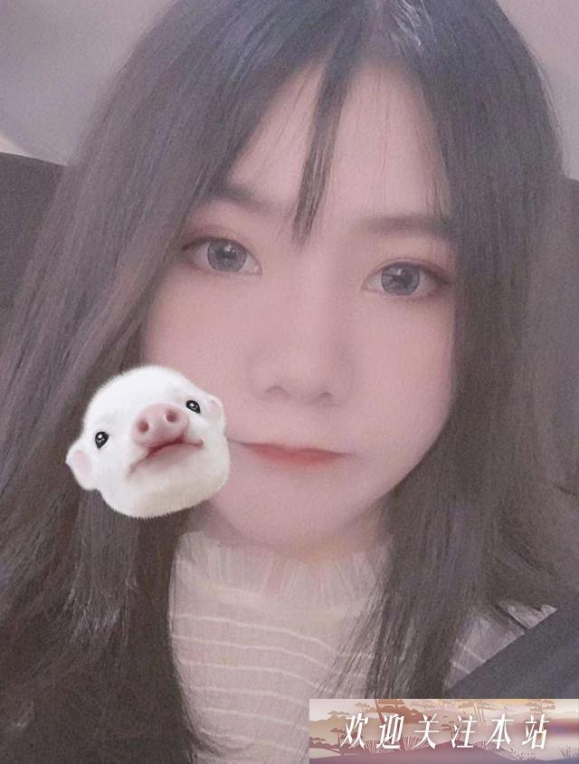 小团团回应网络猜测，警告假冒商家行为