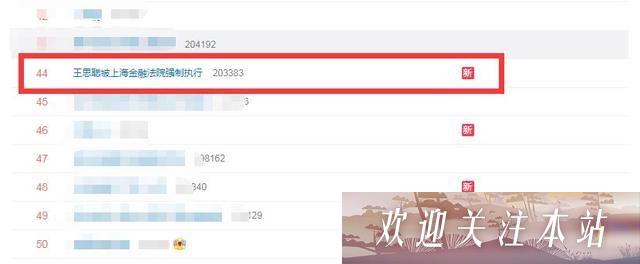 王思聪再登热搜：又被法院列为被执行人!