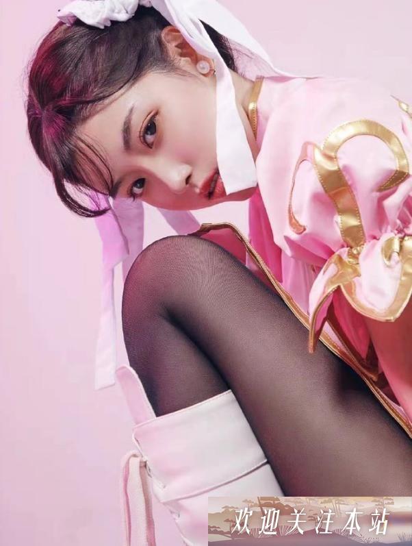 半藏森林回归：重现顶级茶的魅力与风采