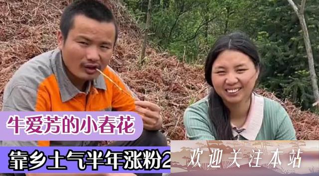 牛爱芳与小春花事件背后的隐秘账号揭秘