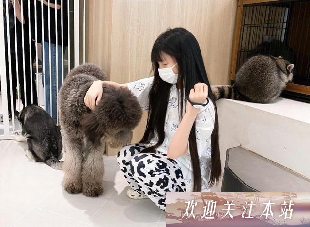 蔡萝莉梦想踏入时装周，粉丝反应引热议