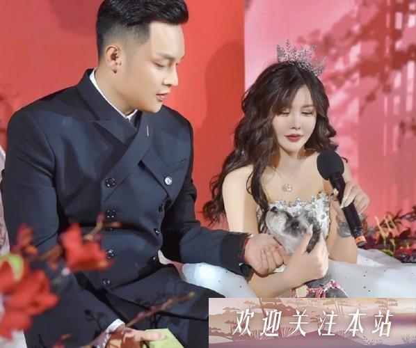 小猪先生与韩安冉的爱恨纠葛：网络名人的浪潮与波折