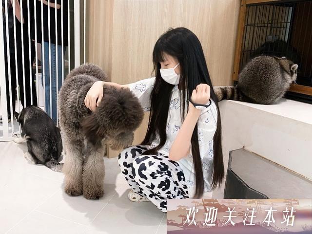 蔡萝莉的美丽背后：熬夜与健康的挣扎