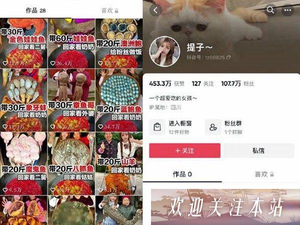 网红提子煮鲨鱼引发争议，警方介入调查