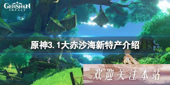 原神3.1中有什么大赤沙海新特产 原神3.1大赤沙海新特产总结