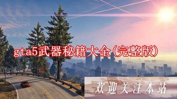 gta5武器秘籍大全有哪些 gta5武器秘籍大全(完整版)