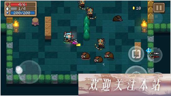 《元气骑士最强宠物攻略：谁才是最厉害的？》