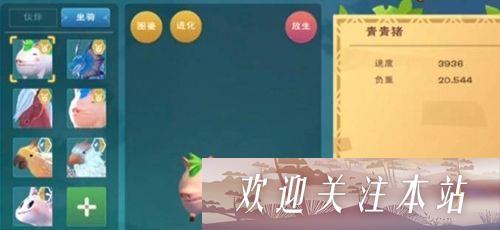 创造与魔法哪里猪最多 创造与魔法猪出现的区域一览