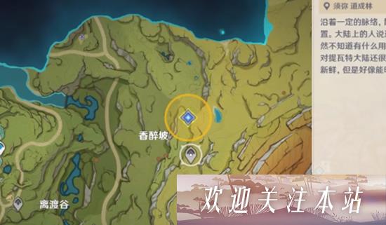 原神通往黯道的曲调怎么消除死域 原神通往黯道的曲调消除死域攻略