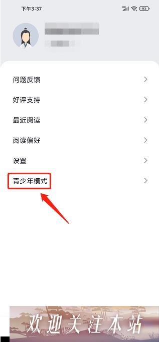 青少年模式选项