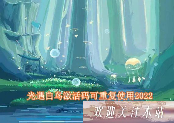 《光遇白鸟激活码2022最新大全》