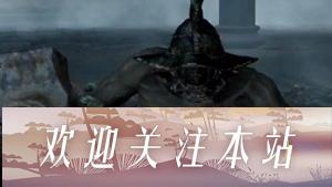 《艾尔登法环守墓人战斗攻略》