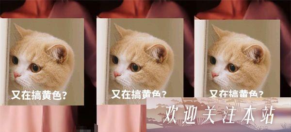 斗鱼女主播万元定制舞蹈视频引发热议