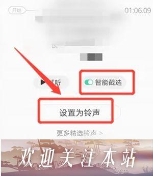 设置为铃声