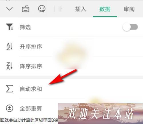 点击自动求和选项