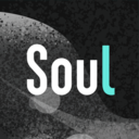 soul2022安卓版最新下载
