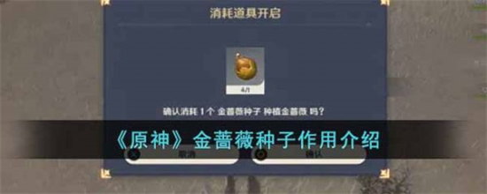 原神金蔷薇种子有什么作用金蔷薇种子作用介绍