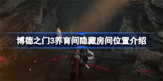 博德之门3养育间隐藏房间位置在哪里博德之门3养育间隐藏房间位置一览
