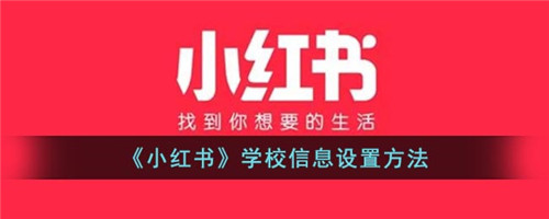 小红书怎么设置显示学校-小红书怎么设置学校