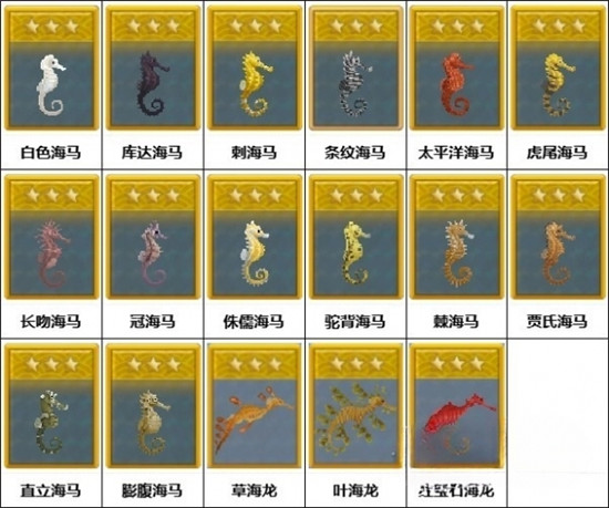 潜水员戴夫有哪些海马 潜水员戴夫全海马图鉴一览